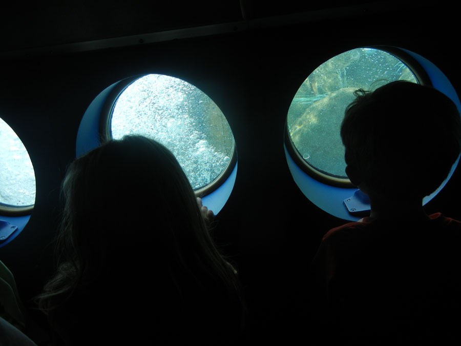 Disneyland Tomorrowland Submarine Picture